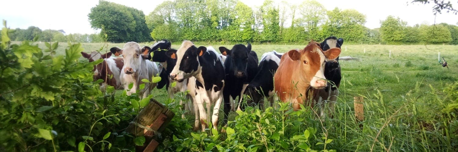 Bannière de La Ferme des Bons Enfants
