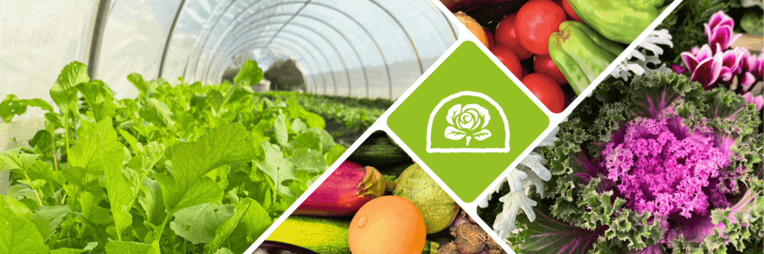 Bannière de Les Serres Dellarossa