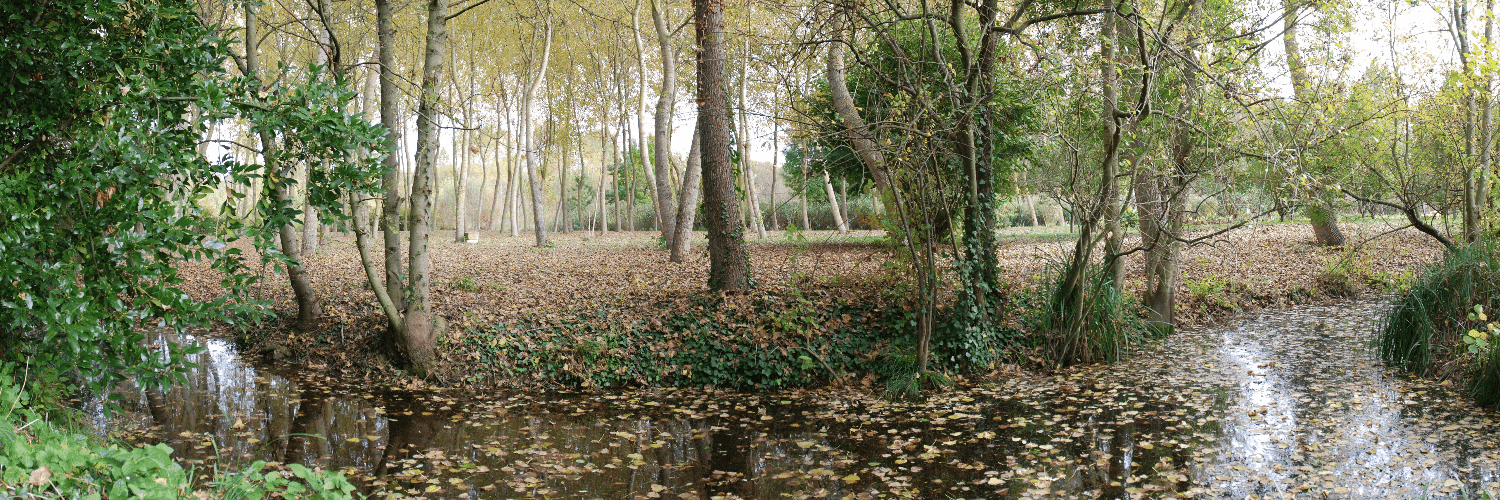 Bannière de La Ferme des Mille Liens
