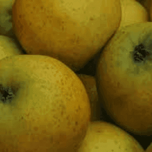 Pommes