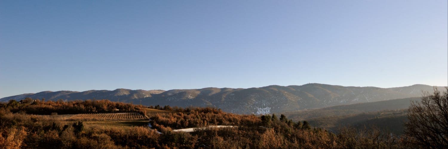 Bannière de DOMAINE ALLOIS
