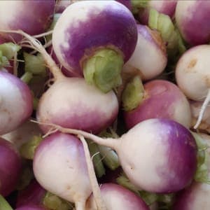 Navet collet violet