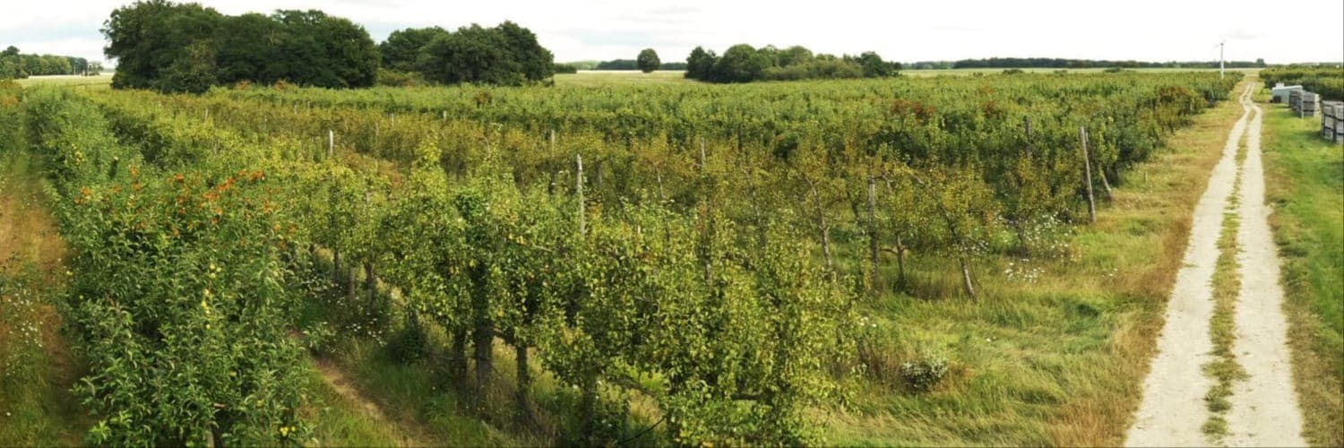 Bannière de La Branche à Fruits
