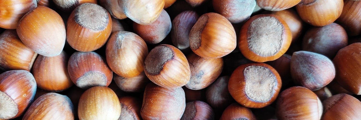 Bannière de La noisette gourmande