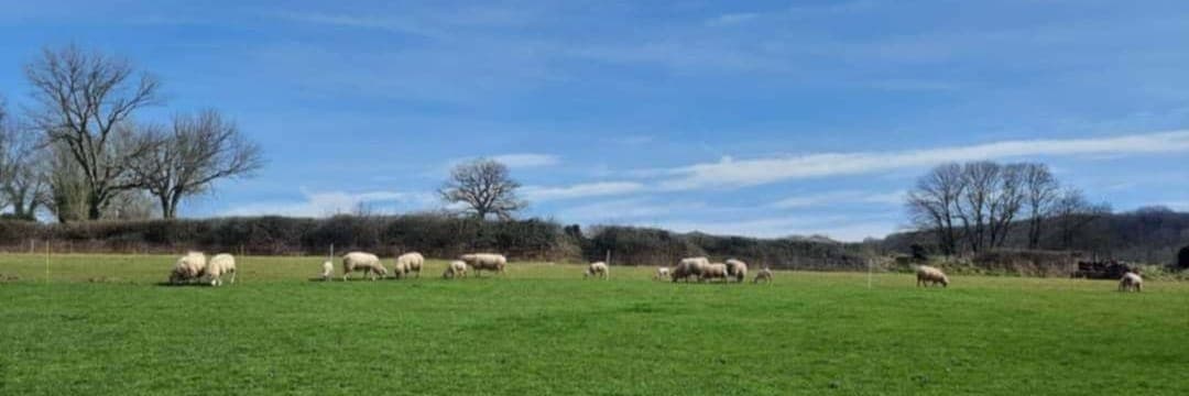 Bannière de la ferme cascare