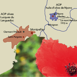 SCEA Brunel Ayme SCEA Brunel Ayme #7