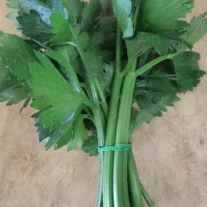CELERI BRANCHE BOTTE AROMATIQUE