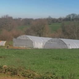 Vincent HULIN Vincent HULIN #5