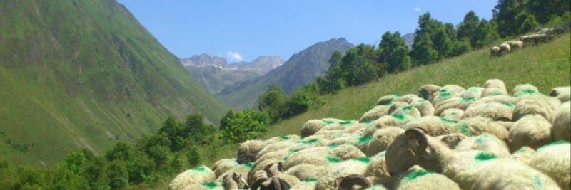 Bannière de Ferme des hourcades