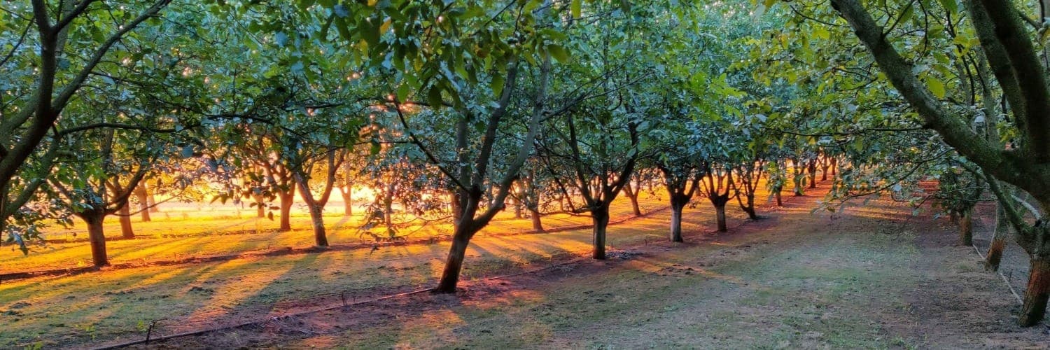 Bannière de Les vergers de Tailhac