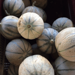 Les Jardins de Vinzelles Les Jardins de Vinzelles #3