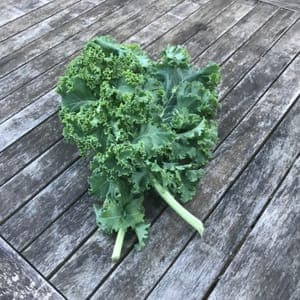 Chou Kale (frisé)