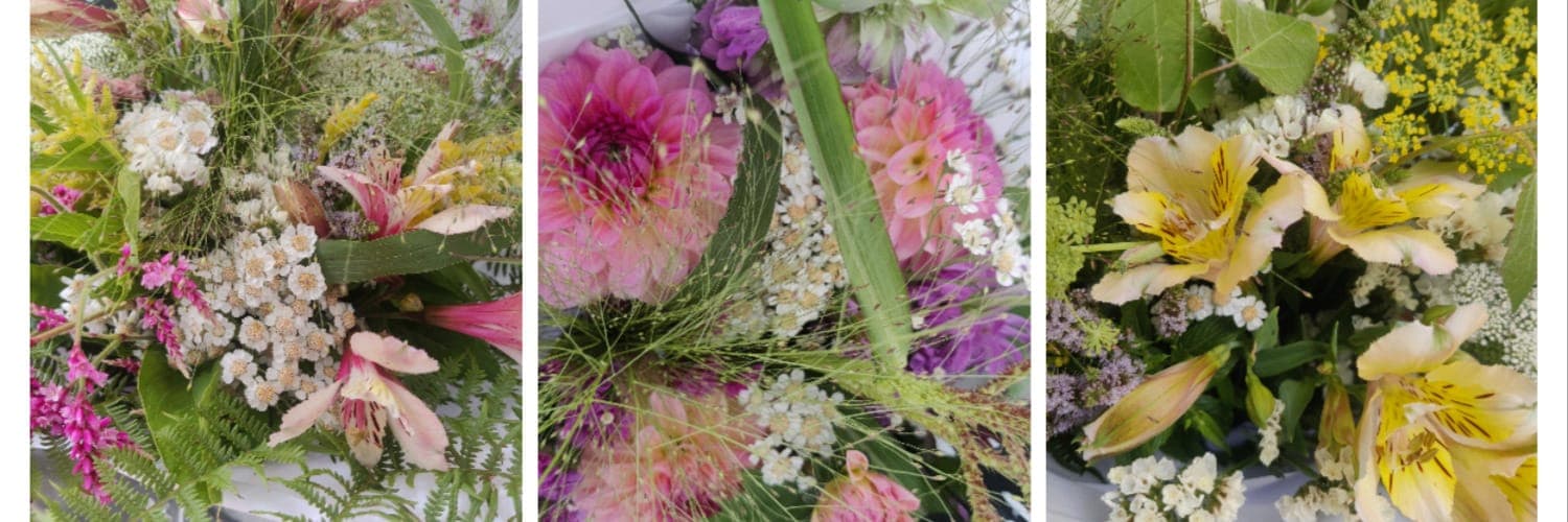 Bannière de Le Champ des silènes