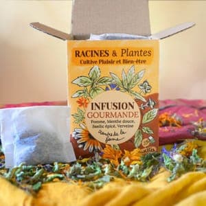 20 sachets Infusettes et recharges, infusion gourmande, saveur fruitée