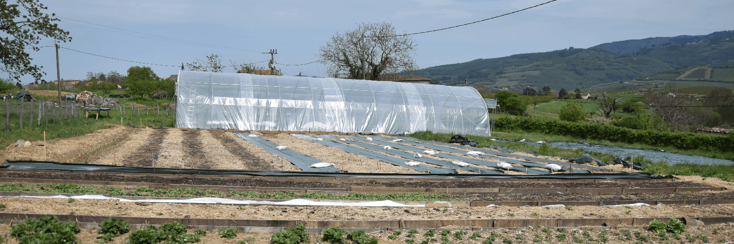 Bannière de LE POTAGER VERT DE TERRE