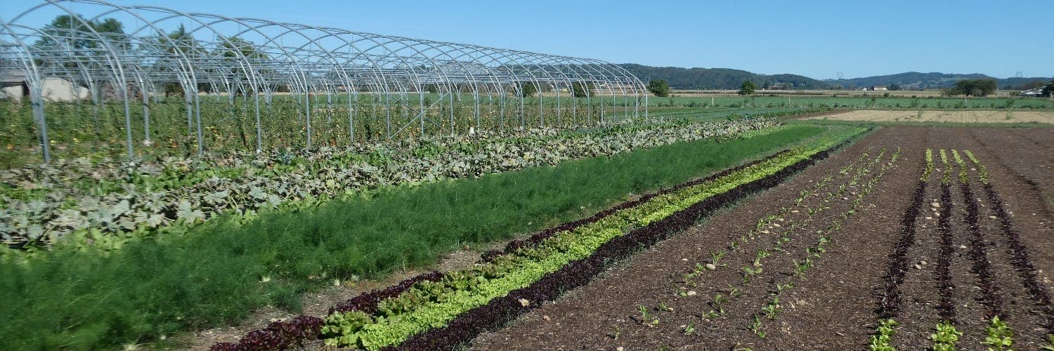Bannière de Le Jardin des Jullins