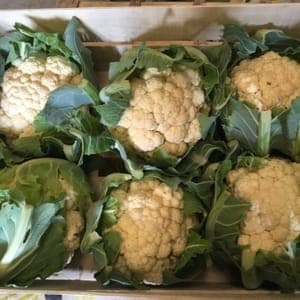 Caisse de 6 Choux-Fleurs