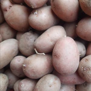 POMME DE TERRE PETIT CALIBRE SAC 2,5KG