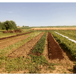 Au Vert d'un Pré Au Vert d'un Pré #7