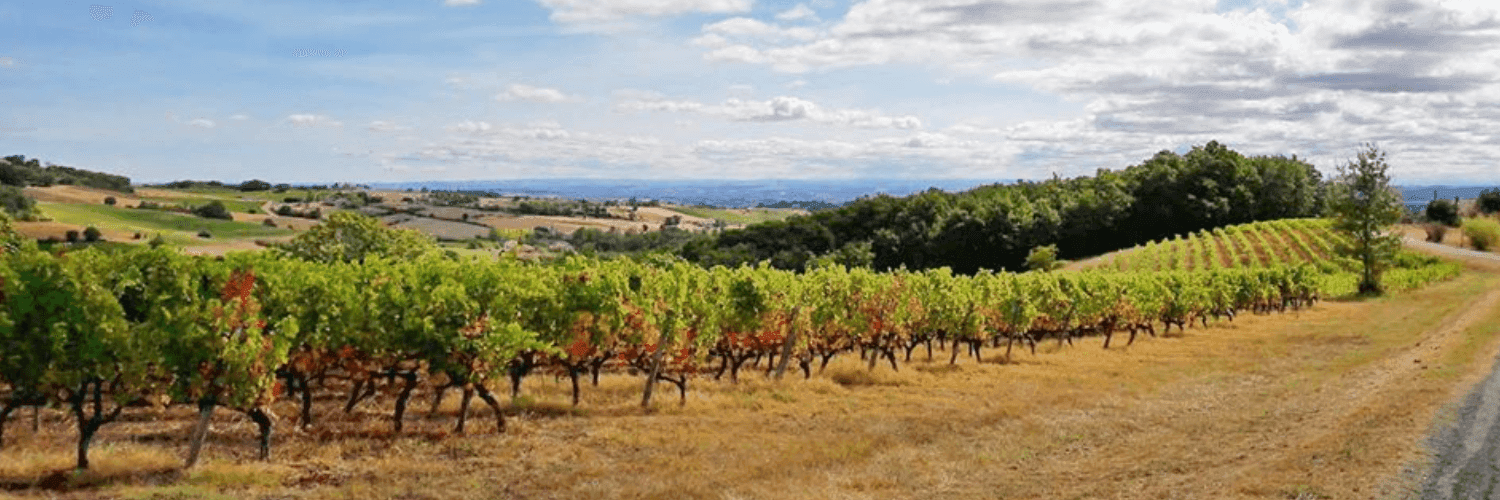 Bannière de Domaine Les Petits Jardins
