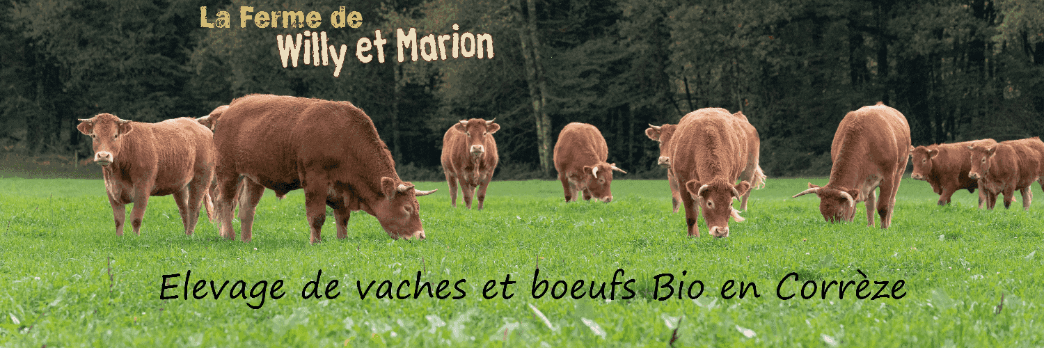 Bannière de La ferme de Willy et Marion