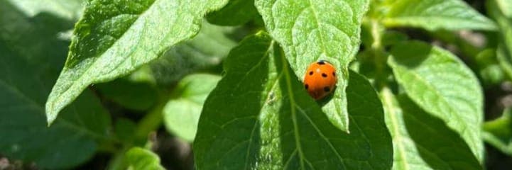 Bannière de La Ferme des Trois Vallées