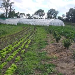 Patricia Simonin Patricia Simonin #1