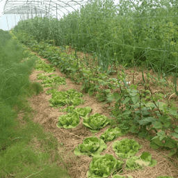 Ferme de Chantecaille Ferme de Chantecaille #3