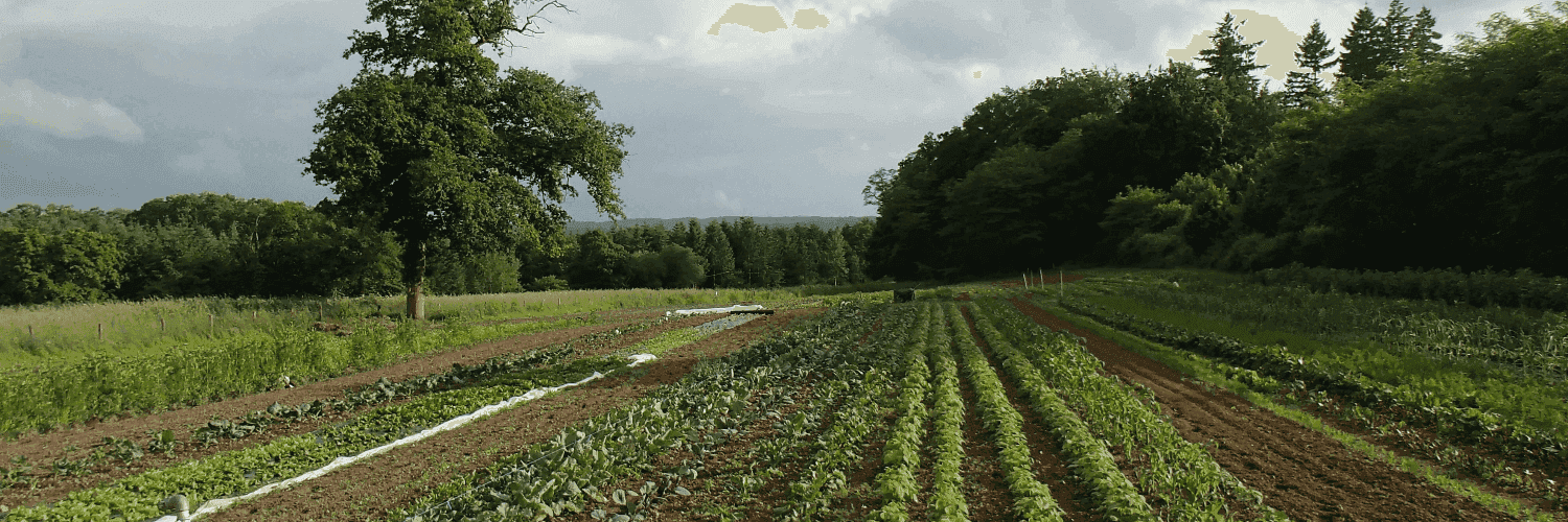 Bannière de Le Jardin de Pagnac