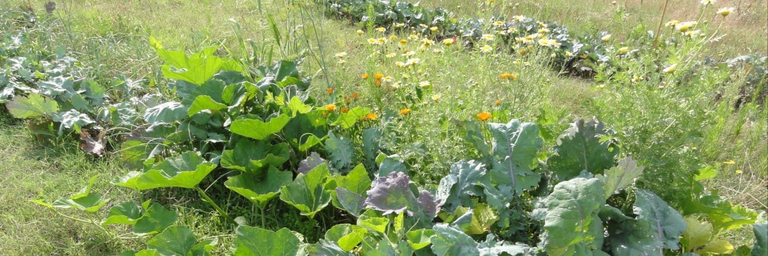 Bannière de La Ferme des Peupliers Noirs