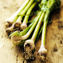 Aillet - Botte - env. 100gr