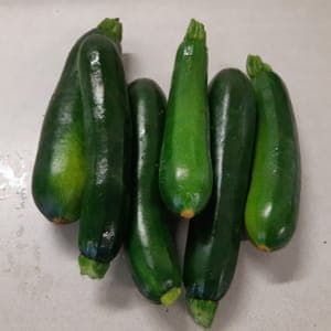 Courgette – verte longue