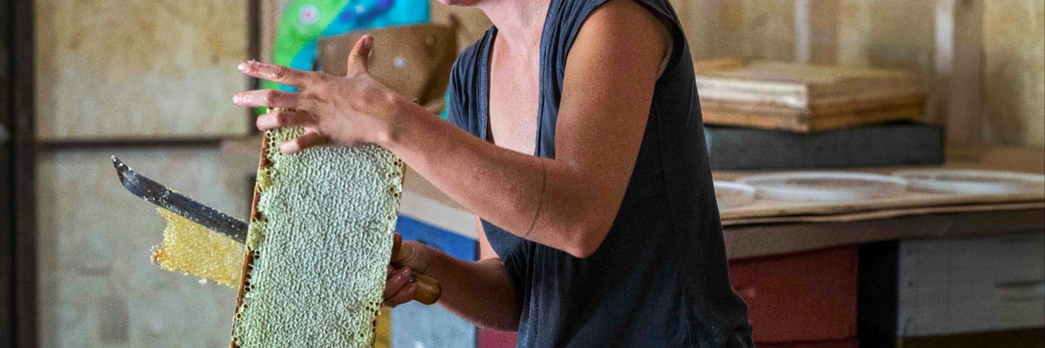 Bannière de Le miel des mutines