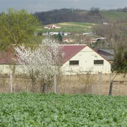 Logo de Boutique à la ferme