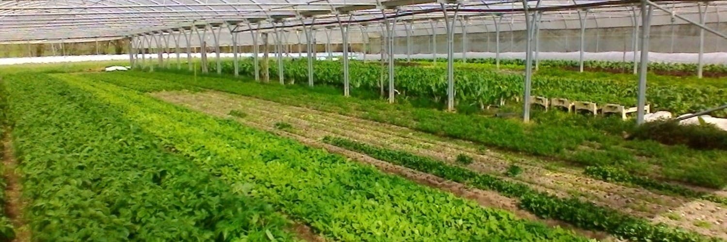 Bannière de Ferme de Kerhors - Yves et Véronique JARDIN