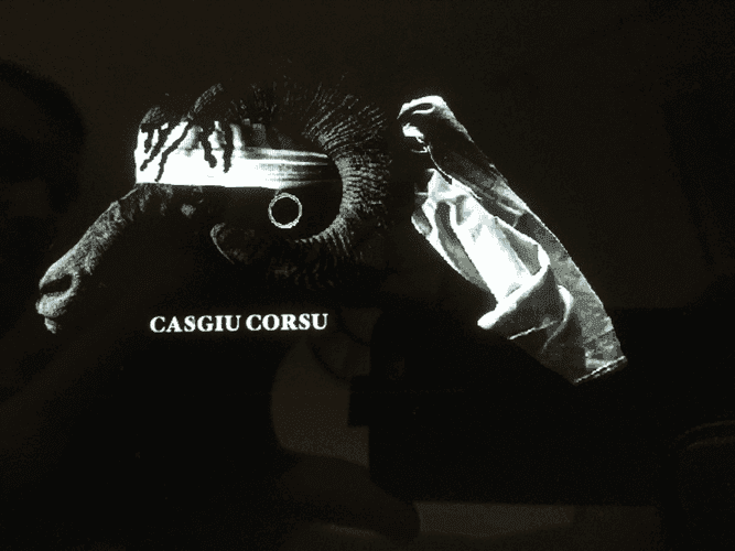 Bannière de SCHELTERLE Jérôme