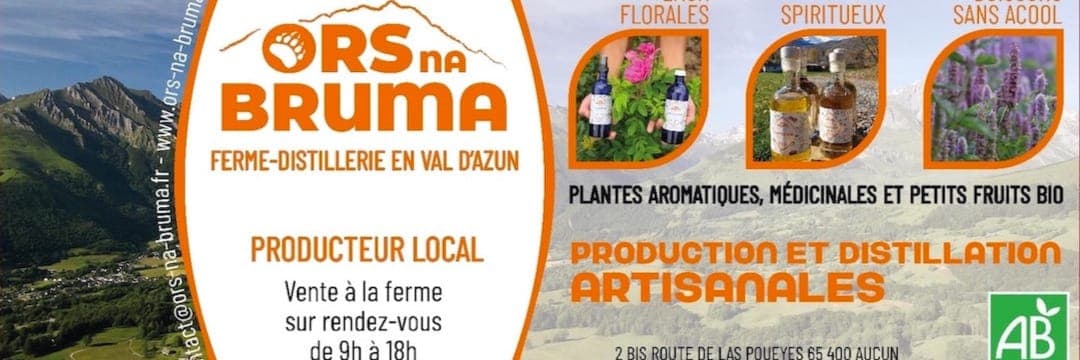 Bannière de Ors na Bruma