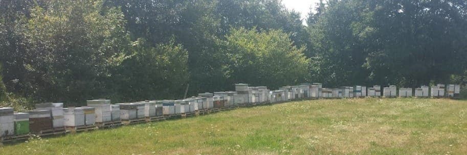Bannière de Apiculture RELION-ROUSSEL