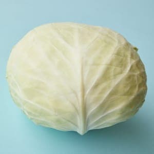 Chou blanc