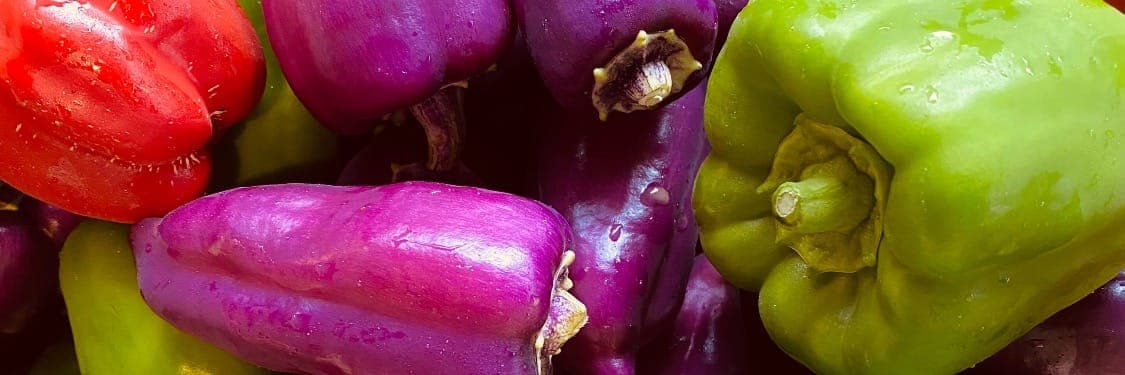 Bannière de La Roybonnerie