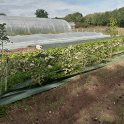 Les Jardins de Vinzelles Les Jardins de Vinzelles #2