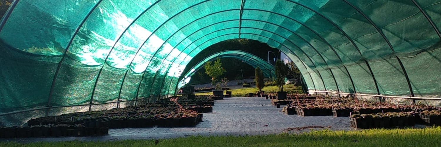 Bannière de L'Étoile d'Argent