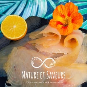 Truite fumée au Hêtre Tranchée