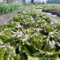 La Ferme des Trois Vallées La Ferme des Trois Vallées #4