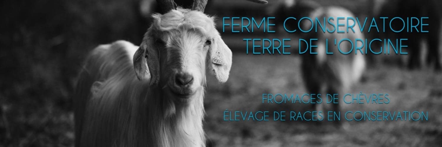 Bannière de Ferme conservatoire Terre de l'Origine