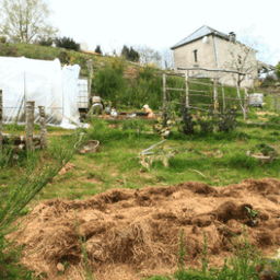 La p'tite fermentée La p'tite fermentée #7