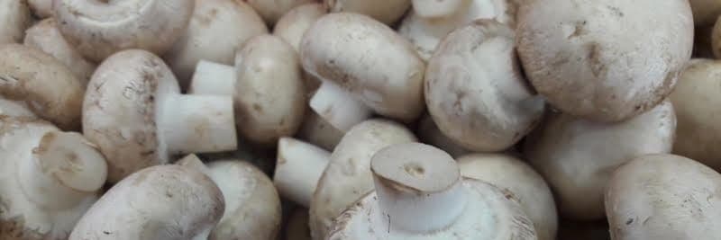 Bannière de la ferme de la montagne