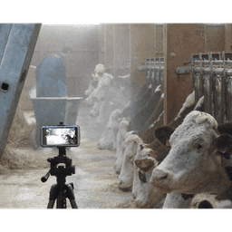 Ferme Guillaume Legoy Ferme Guillaume Legoy #2