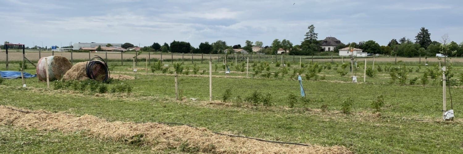 Bannière de L'Etoile Del Bosc