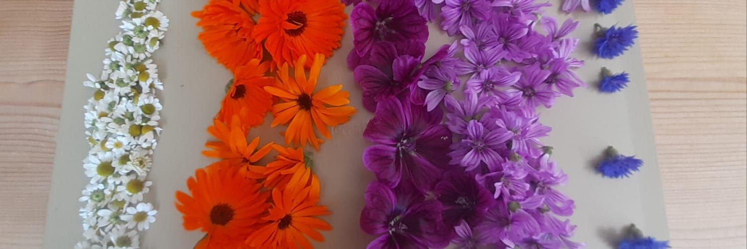 Bannière de LES TRESORS DE LNA'TURE